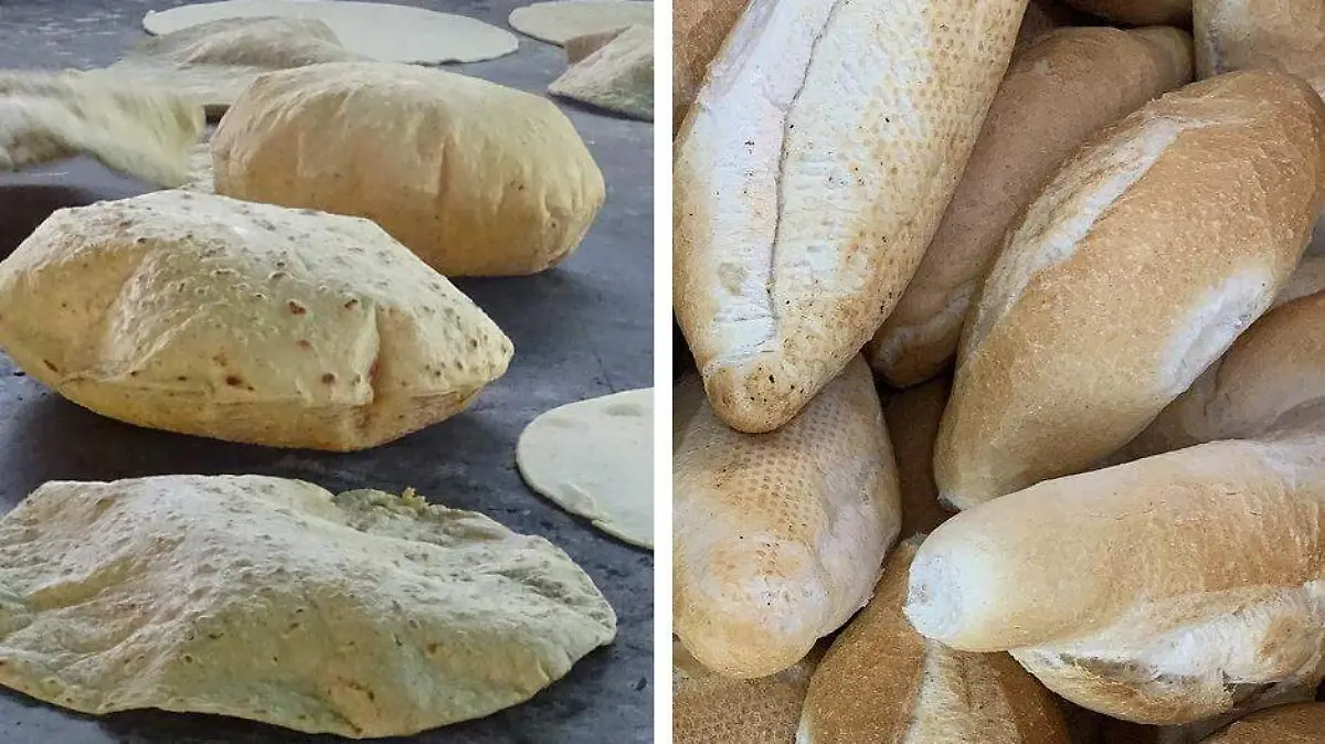 Tortilla maiz vs bolillo